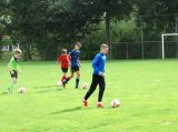 Eerste training SJO D.Z.C. '09/S.K.N.W.K. JO13-1 van het seizoen 2022-2023 (11/74)